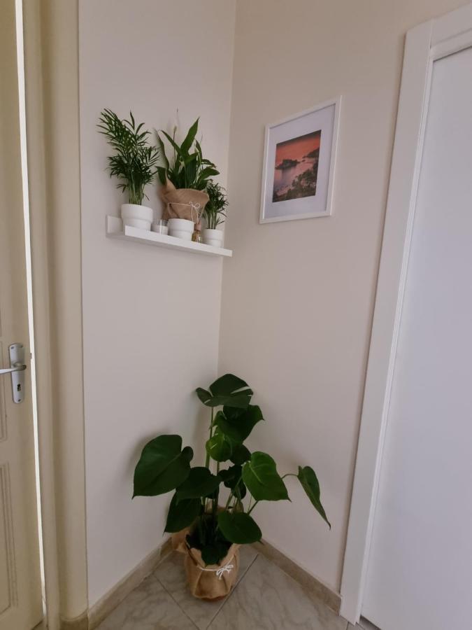Etna Ocean Rooms Katanya Dış mekan fotoğraf